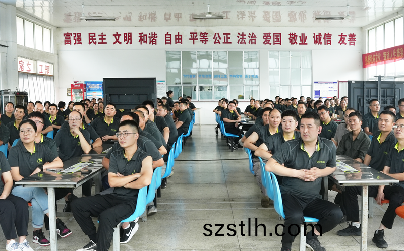 鬆(song)穀(gu)激光員(yuan)工(gong)